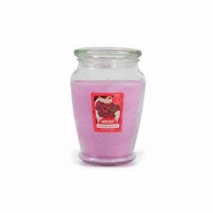 Airpure Large Candle Jar: One/Precious Petals
