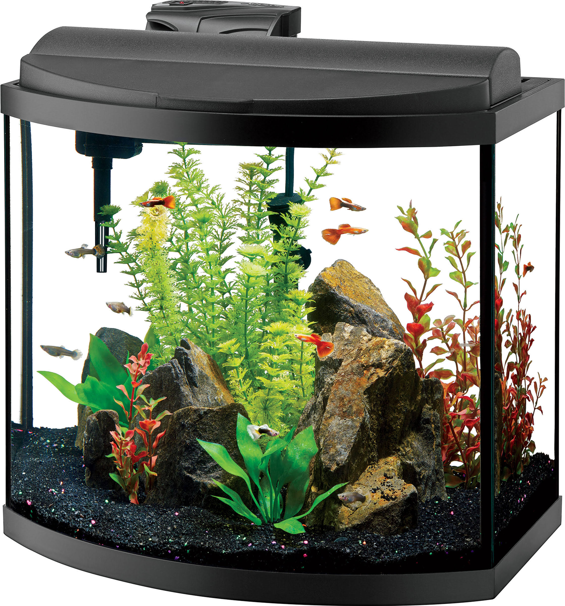 Aqueon Deluxe LED Bow Front Aquarium Kit - Black, 16gal