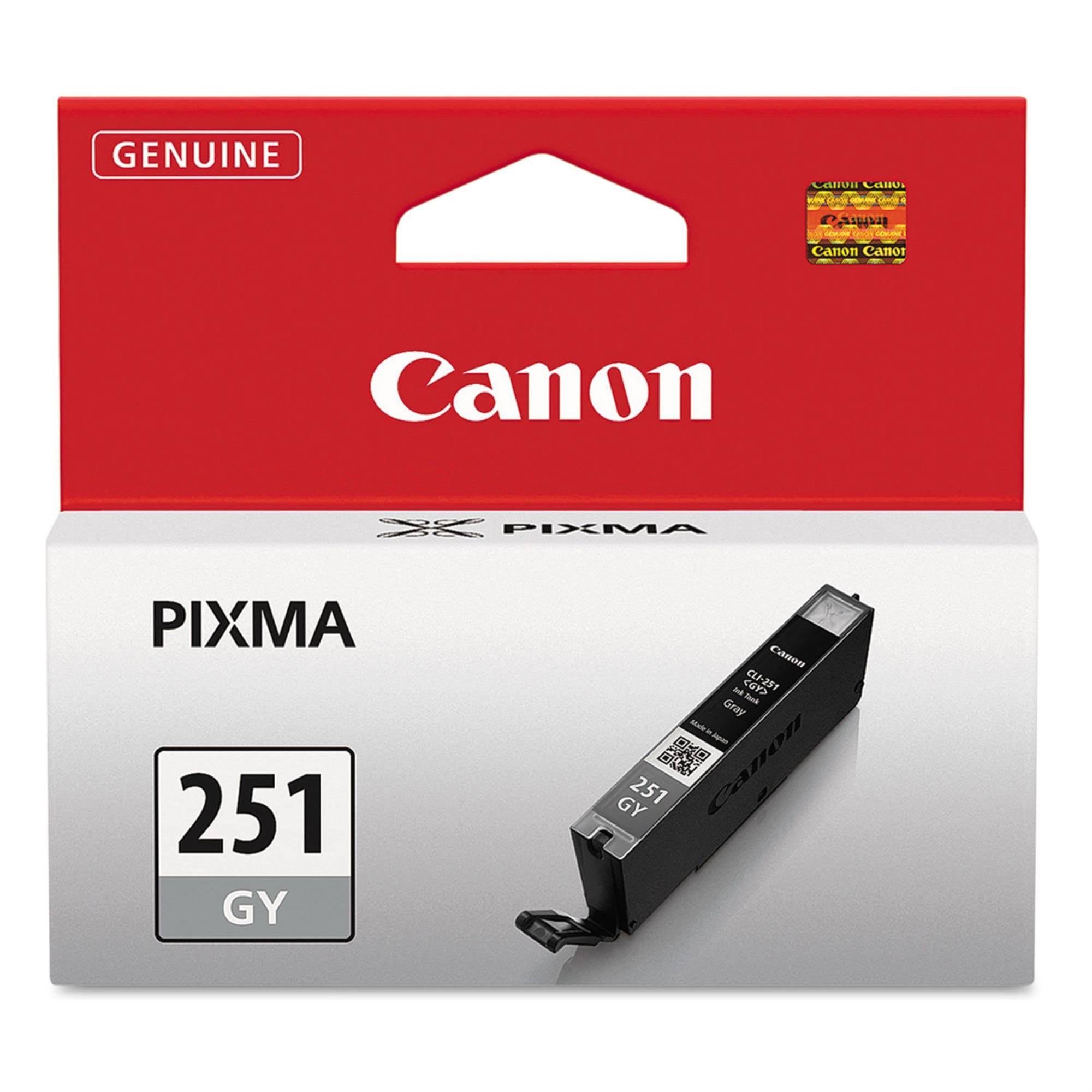 Canon Cli-251gy Inkjet Cartridge - 290 Page Yield, Gray