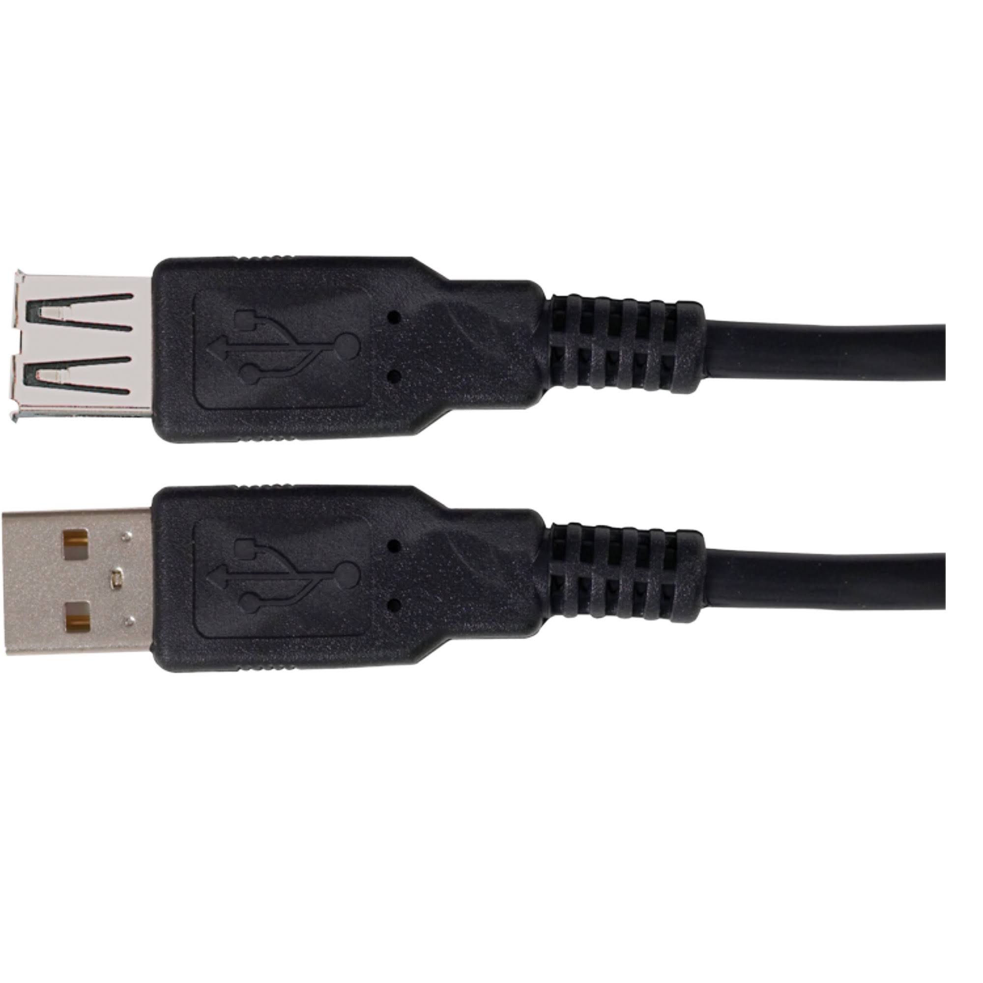 Audiovox USB Extension Cable - 10'