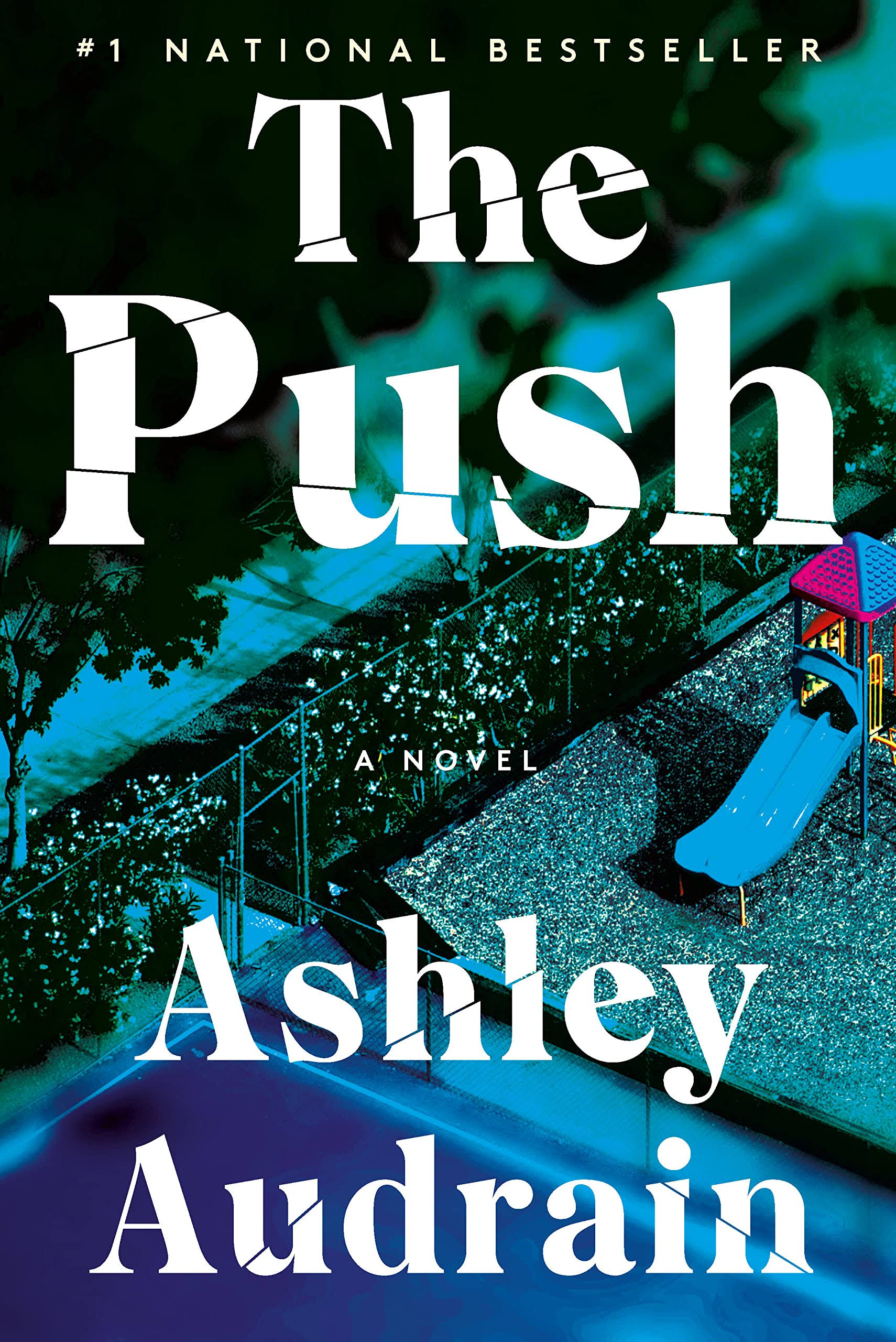 The Push [Book]