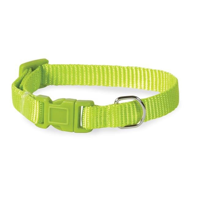 Casual Canine Nylon Dog Collar - Parrot Green - 14-20" Length