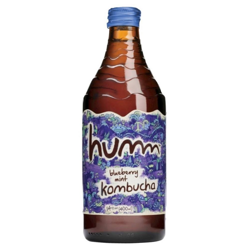 Humm Blueberry Mint Kombucha - 14oz