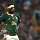 Rugby-South Africa still have much to do says coach after series win over Wales