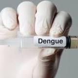 Sudan records 26 deaths from dengue