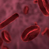 Study illuminates precancerous 'clonal outgrowth' in blood cells