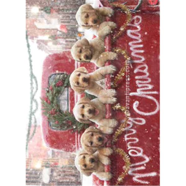 Avanti Press Lab Puppies in Red Truck Dog Christmas Card