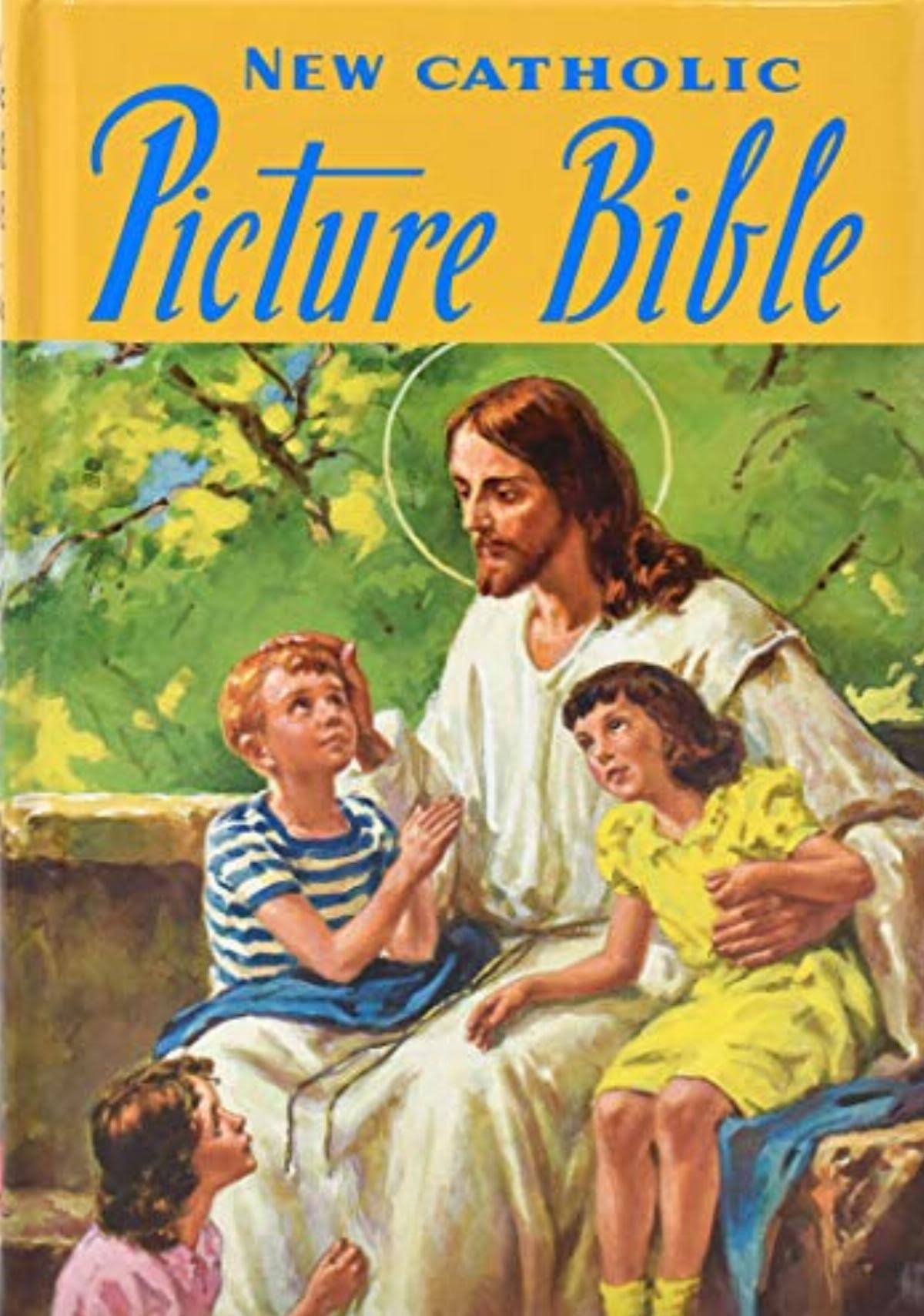 Catholic Picture Bible - Catholic Book Publishing Co