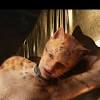 Jennifer Hudson, Taylor Swift come out to play in 'Cats' movie trailer