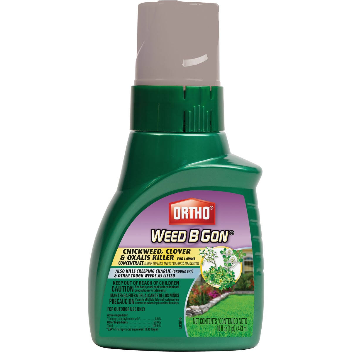 Ortho Weed B Gon Chickweed Clover and Oxalis Killer for Lawn Concentrate - 16oz