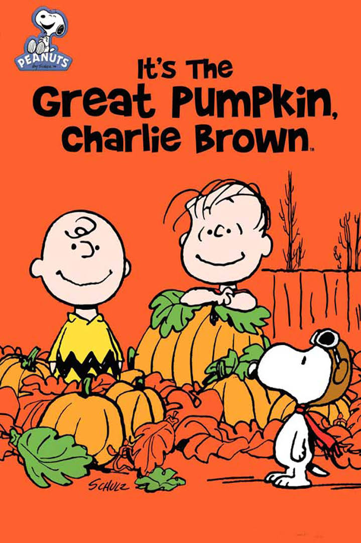 Image result for its the great pumpkin charlie brown