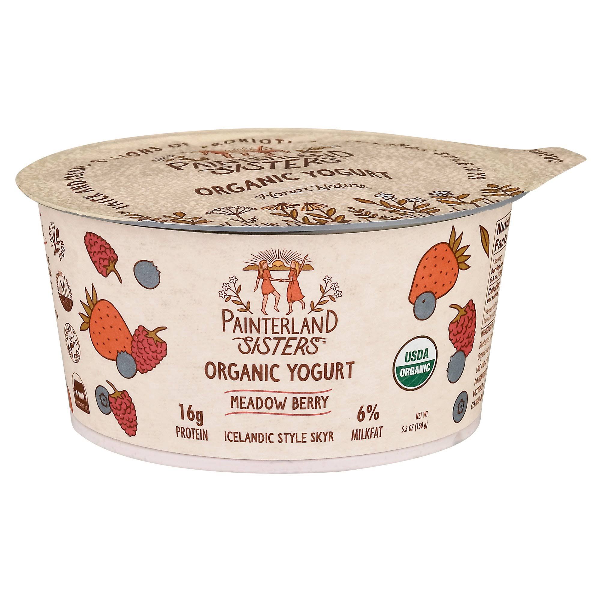 Painterland Sisters Organic Meadow Berry Icelandic Style Skyr Yogurt