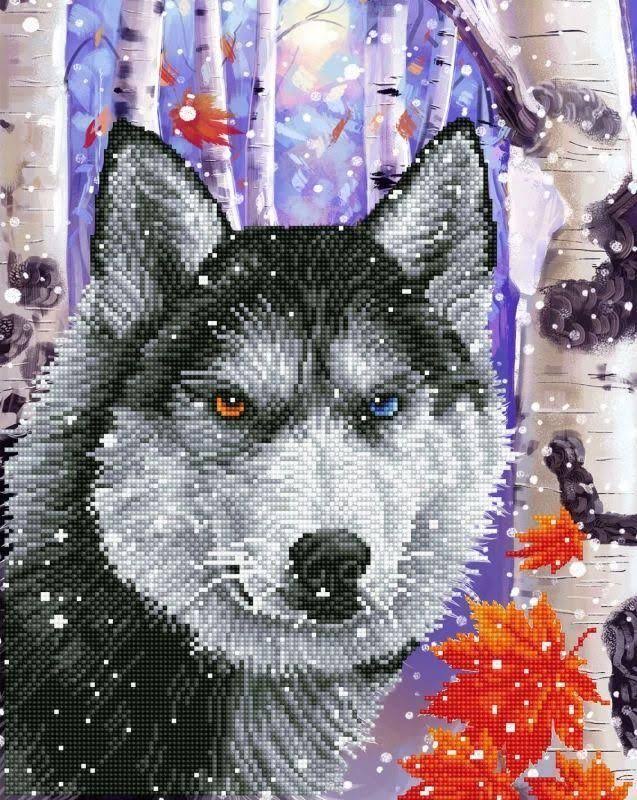 Diamond Dotz - Forest Wolf 40x50cm - Diamond Art
