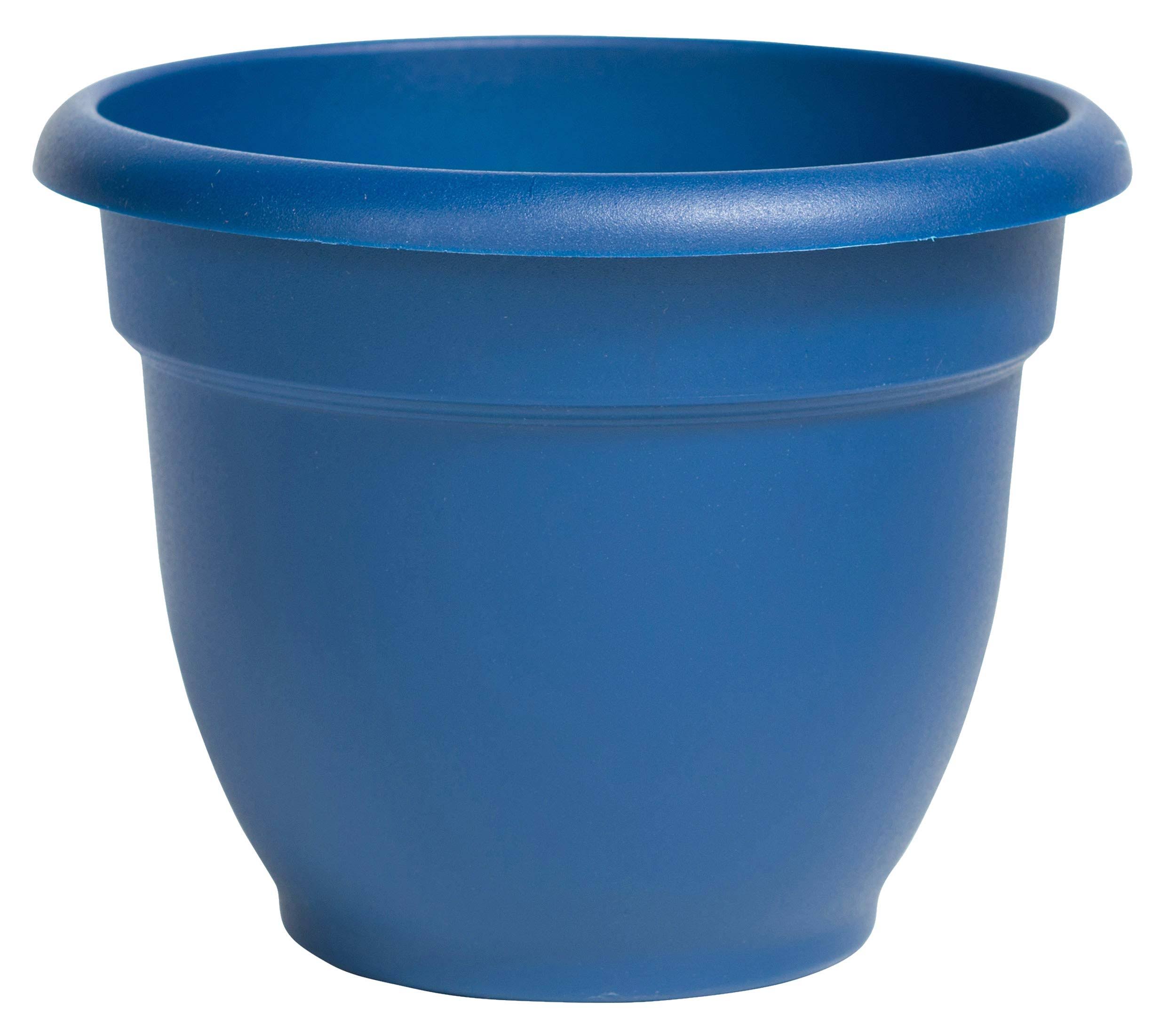 Bloem Ariana Self Watering Planter 6 in. Classic Blue