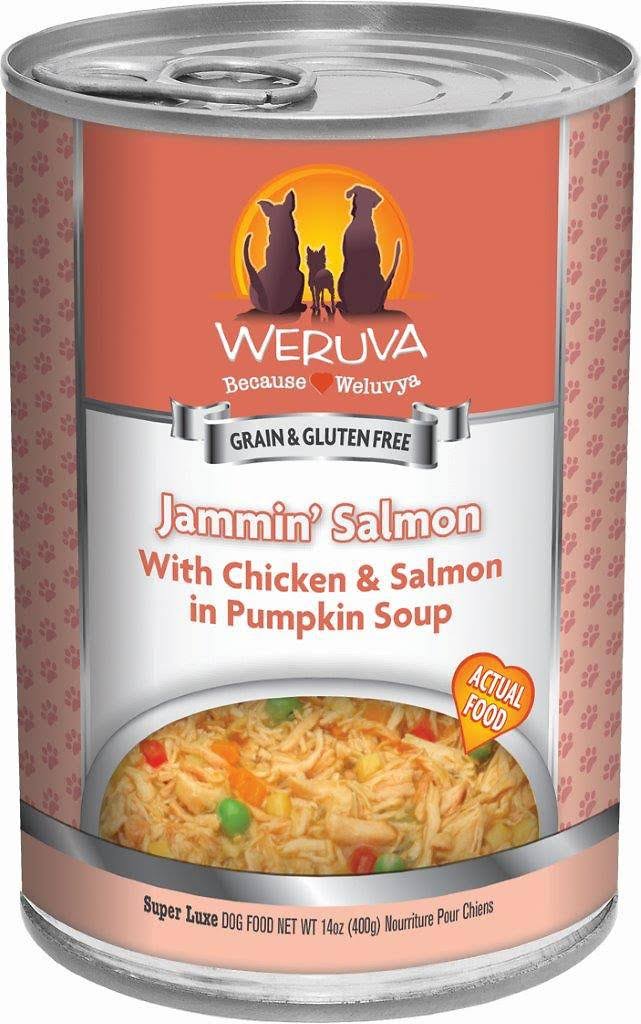 Weruva Grain Free Jammin' Salmon Canned Dog Food - Chicken & Salmon in Pumpkin Soup