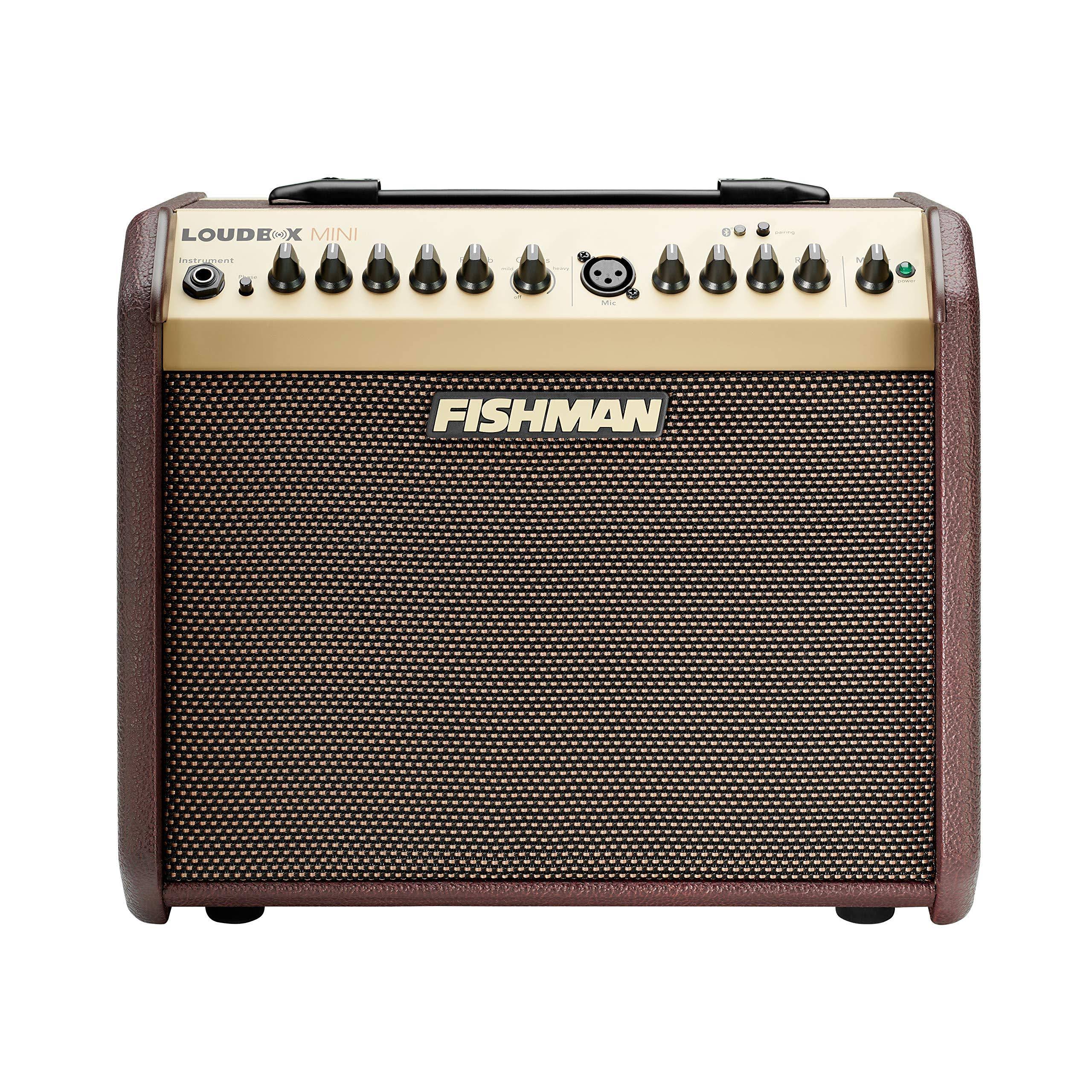 Fishman Loudbox Mini with Bluetooth Acoustic Amplifier