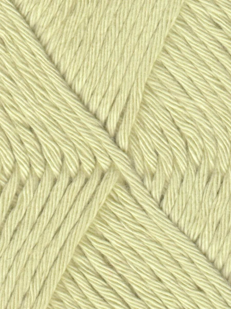 Coastal Cotton Yarn by Queensland Celadon 1013