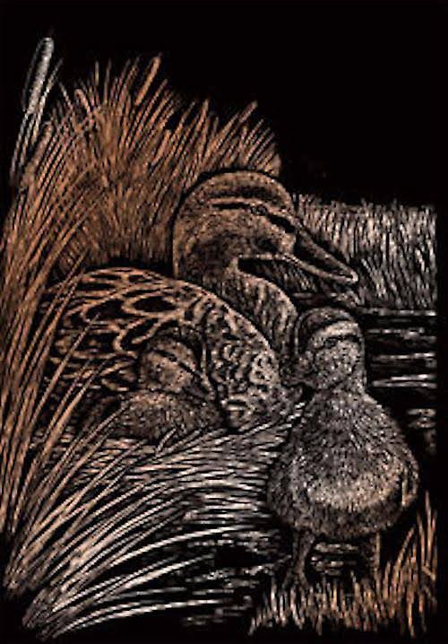 Royal Brush Copper Foil Engraving Art Kit 8"X10"-Ducks