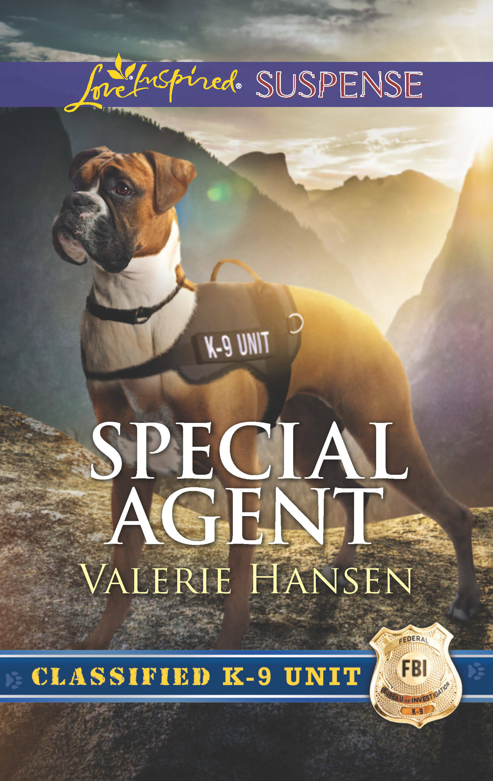 Special Agent [Book]