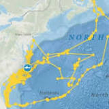 Fin-cent Van Gogh! Great white shark fitted with a GPS tracker 'draws' an incredible SELF-PORTRAIT while swimming ...