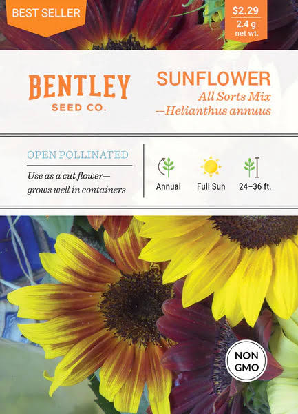 Bentley Seed Packets Sunflower