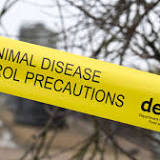 Bird flu in Devon: New case of avian flu near Tiverton