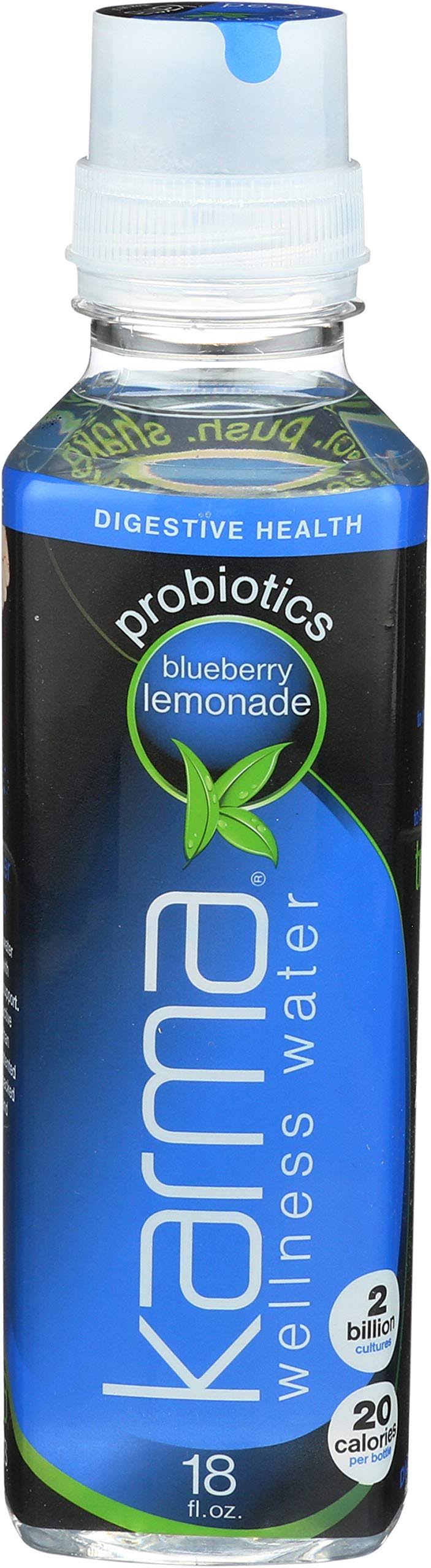 Karma Probiotics Wellness Water - Blueberry Lemonade, 18oz