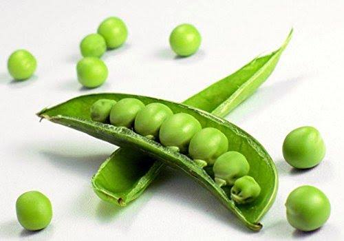 Hirt's Gardens Sugar Snap Peas 400+ Seeds - Value Pack!