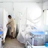 Dengue fever cases keep surging in Pakistan