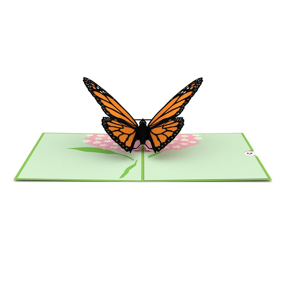 Butterfly Pop up Card