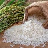 Agriculture Ministry: Malaysia's rice supply stable