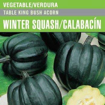 Squash Table King Acorn - Cornucopia Seeds
