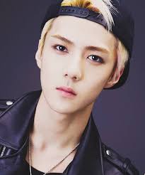 Image result for exo sehun