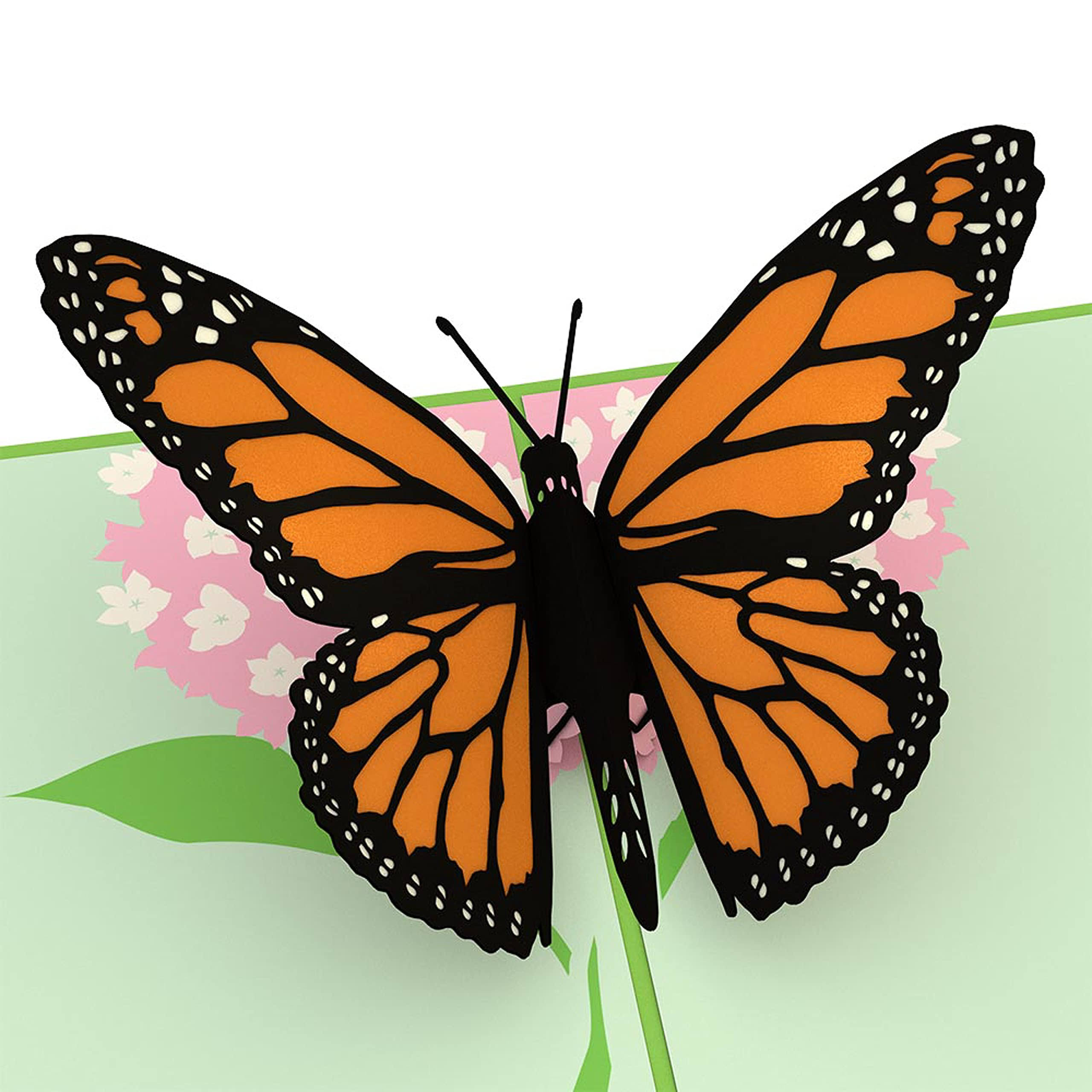 Lovepop Butterfly 3D Card