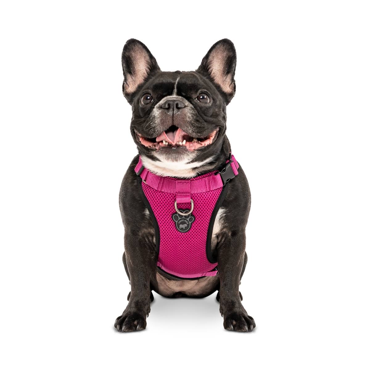 Canada Pooch The Everything Dog Harness - Mesh Pink / Large