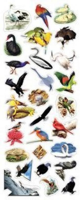 10 x Fun Stickers Birds 617 For Children Fun Activities Craft Decorating Gifts