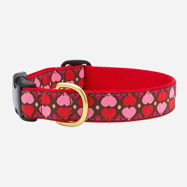 Up Country AHTCQ2W All Hearts Pet Collar - Small Wide