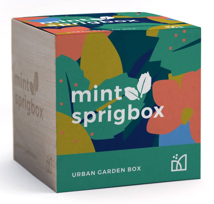 Sprigbox Grow Kit – Mint