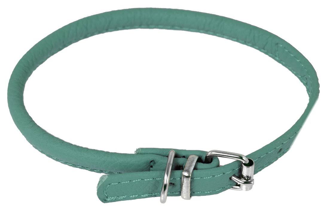 Dogline Leather Dog Collar - Teal