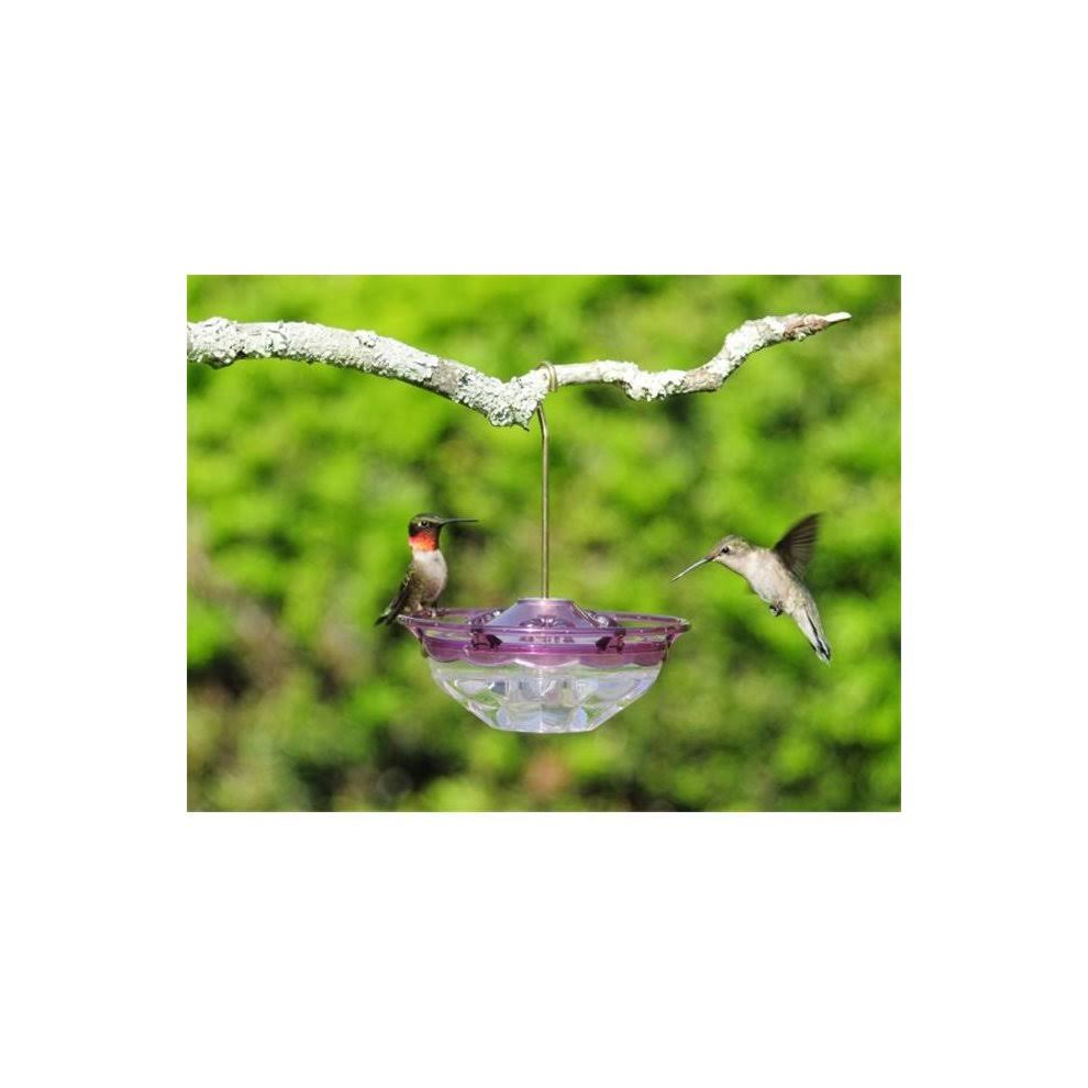 Hummzinger Blossom Hummingbird Feeder - Plum