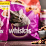 Major pet food brands are missing from the UK's biggest supermarket chain after a spat with its suppliers over surging ...