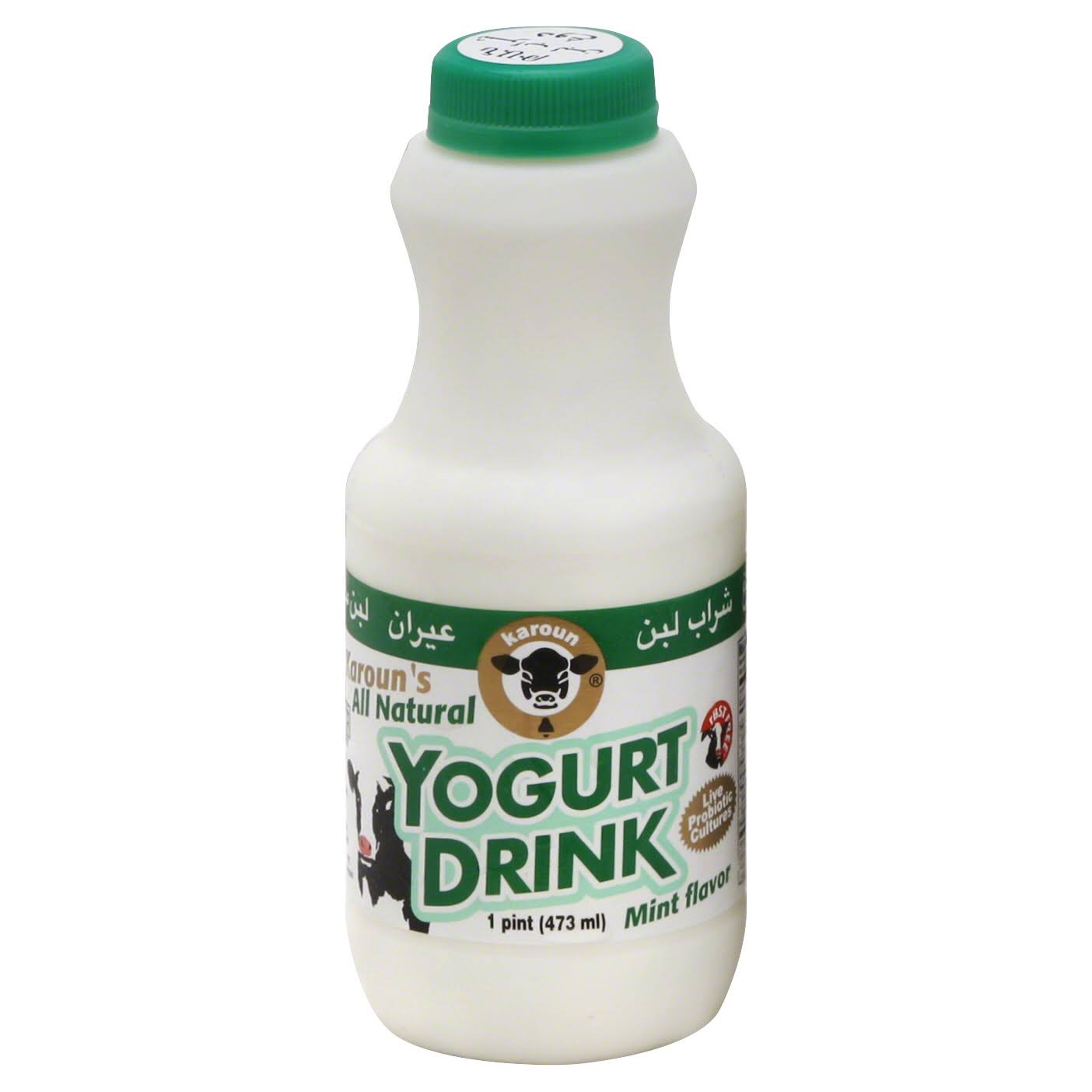 Karoun Yogurt Drink, Mint Flavor - 1 pt