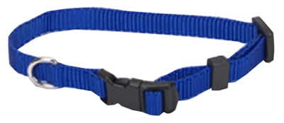 Coastal Pet Adjustable Nylon Collar - Blue, 3/8"