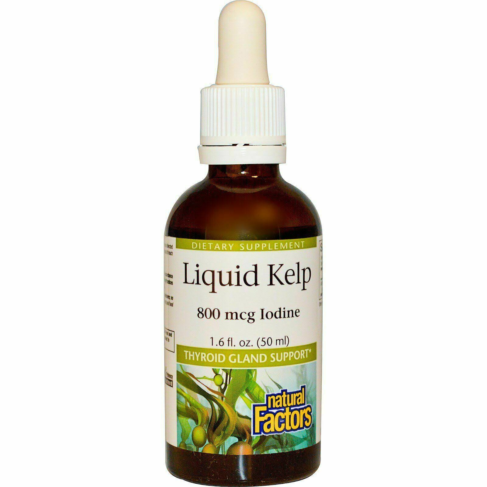 Natural Factors Liquid Kelp Thyroid Gland Support - 50ml