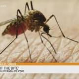 West Nile Virus detected in Davis