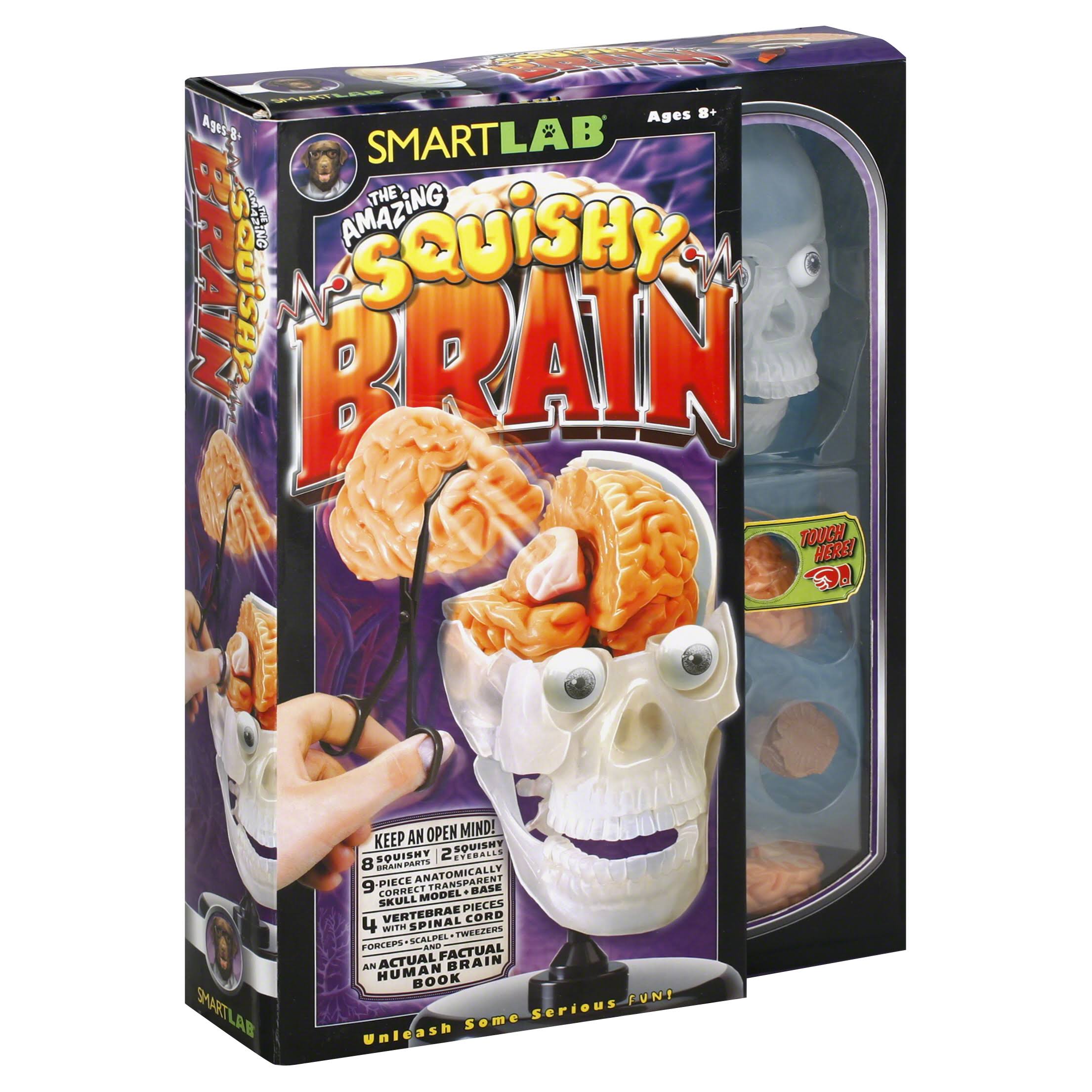 The Amazing Squishy Brain Toy