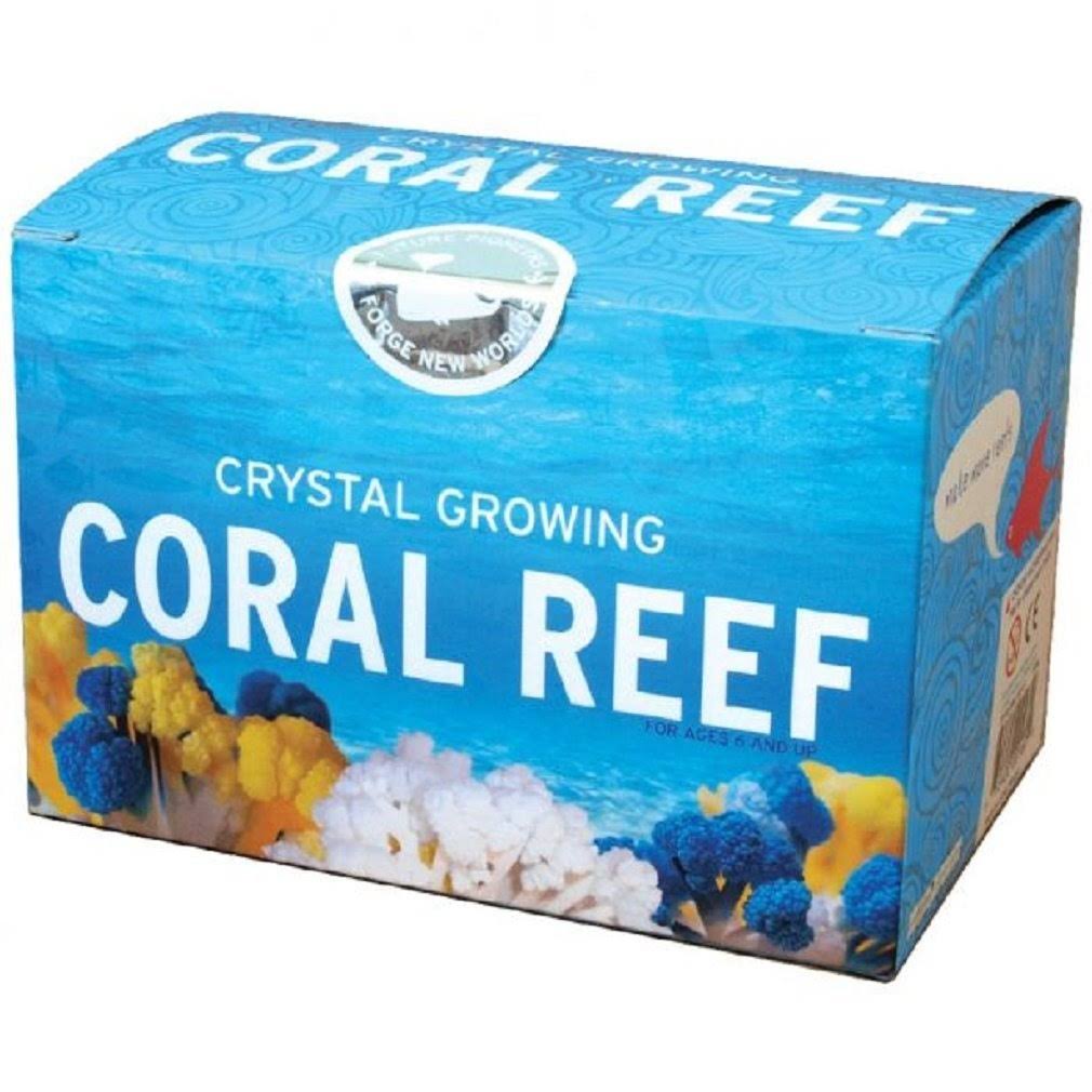 Do It Yourself Crystal Growing Coral Reef Science Kit
