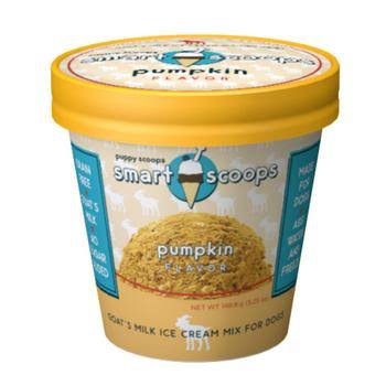 Puppy Scoops Ice Cream Mix - Pumpkin - Pumpkin - 5.6 Ounces