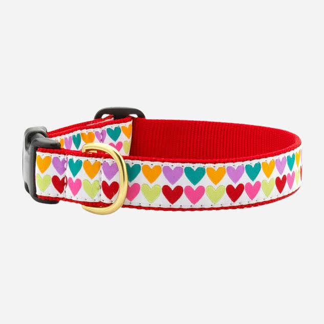 Teacup Dog Collar | Pop Hearts 14