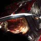 New Ninja Gaiden would need to 'exceed' fan expectations, says dev